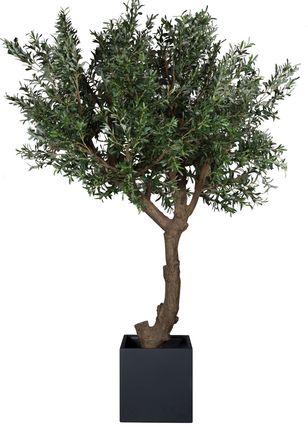 Kunstpflanze Olivenbaum mit realistischem Laub und stabiler schwarzer Pflanzschale.
